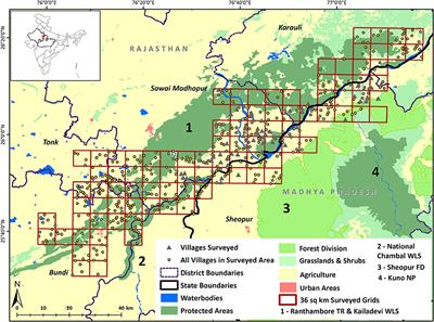 Assessing Carnivore Occurrence and Community Attitudes Towards Wildlife in a Multi-Use Arid Landscape Corridor